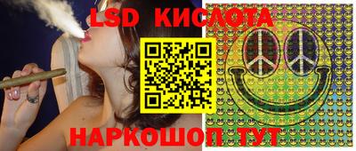 ПСИЛОЦИБИНОВЫЕ ГРИБЫ Моздок