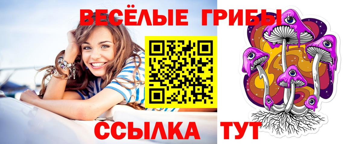 Псилоцибиновые грибы Psilocybe  Вход с VPN  Псилоцибиновые грибы Cubensis  Чистополь 