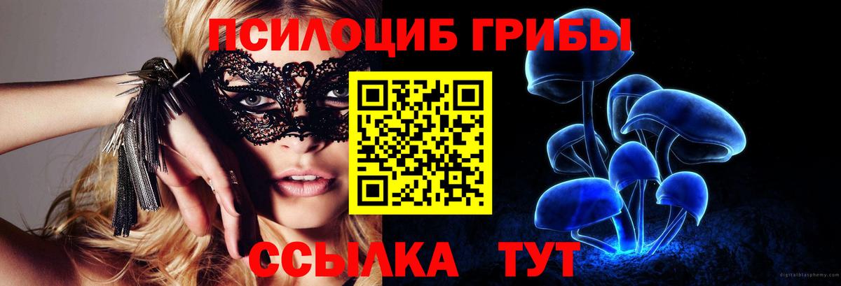 Галлюциногенные грибы мицелий Чистополь